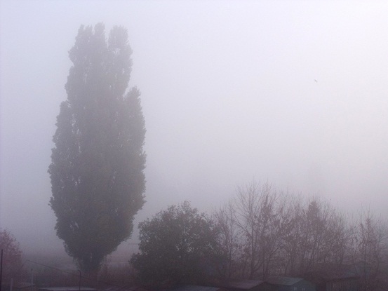 Туман осенний я увидел из окна