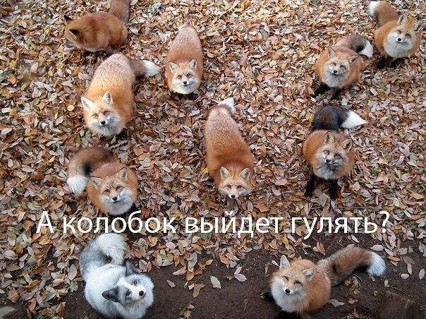Колобок