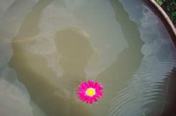 А вместо сердца цветочек аленький