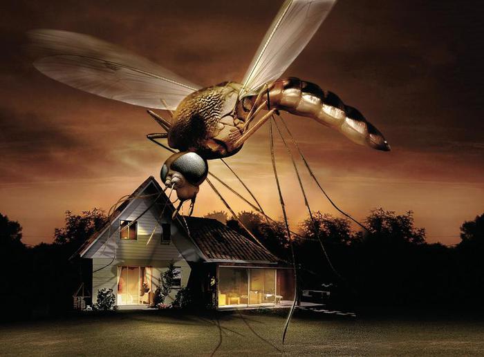 С улыбкой о серьезном