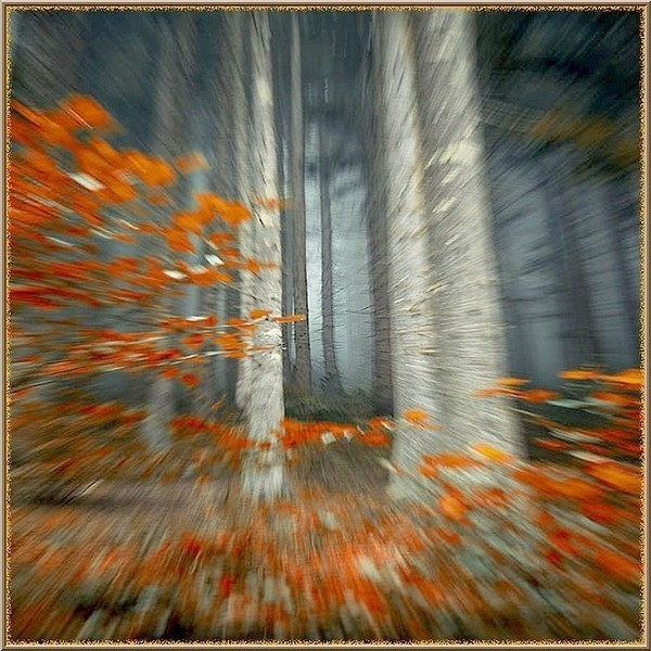 Душа, как огненный листок