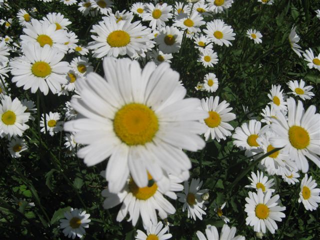 Не важно, кем ты в Мир пришёл