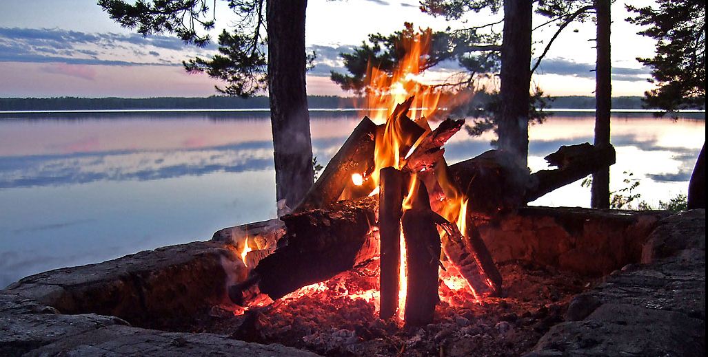 встреча друзей