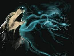 Туманы и дожди