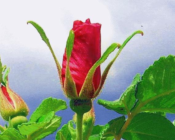 Я опоздал...