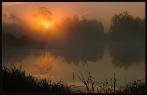 И ты ушла в туманный час рассвета...