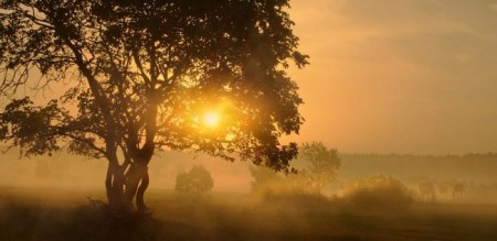 Пробуждение...