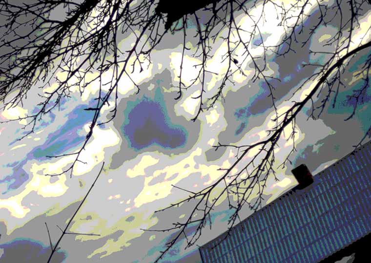 Образованье это не возня