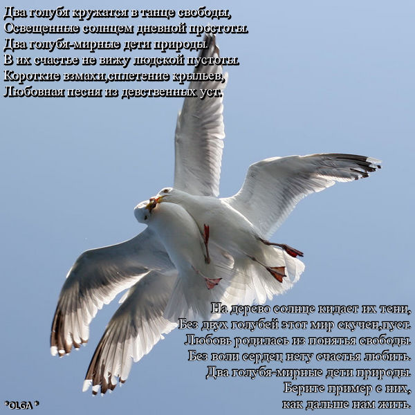 Что то не хватает стих Что то не хватает стих