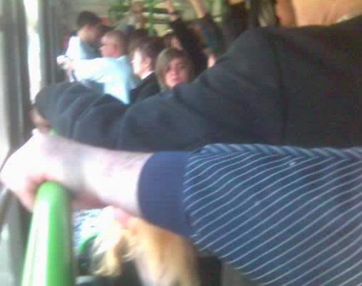 Не спишь над сыном сколь ночей