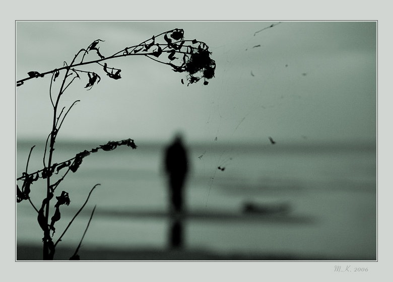 Память ноября