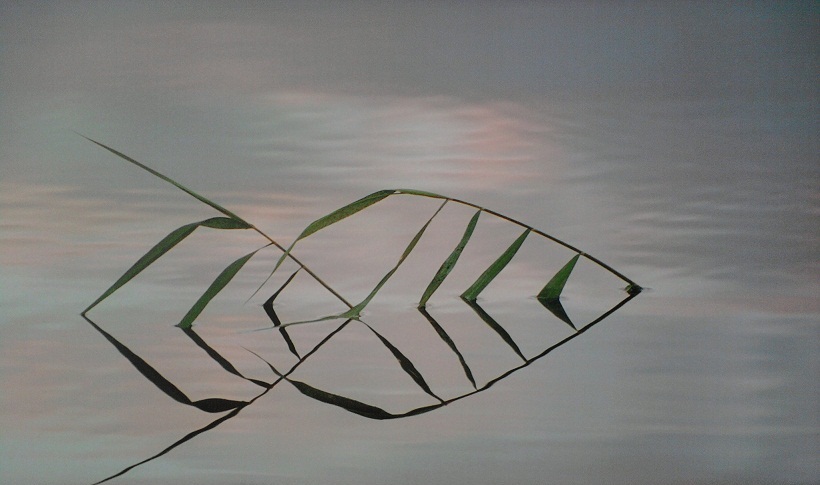 переложение танка в - катюшу 16