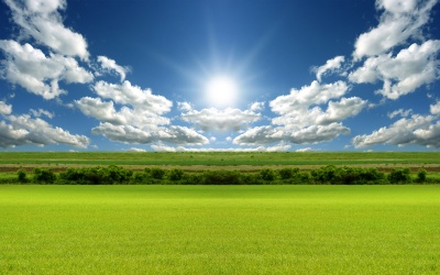 Воспоминания летнего дня...