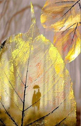 Поверить хочу в свое счастье