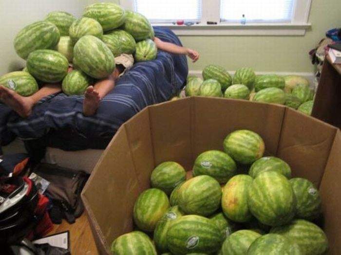 Славный урожай