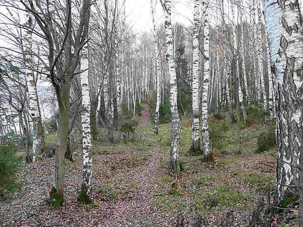 Не Архимеды мы, не плотники...