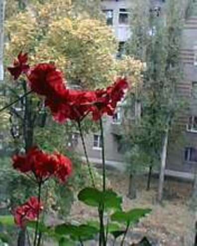 Мелочи жизни