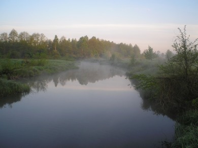 В потоке неуверенных надежд