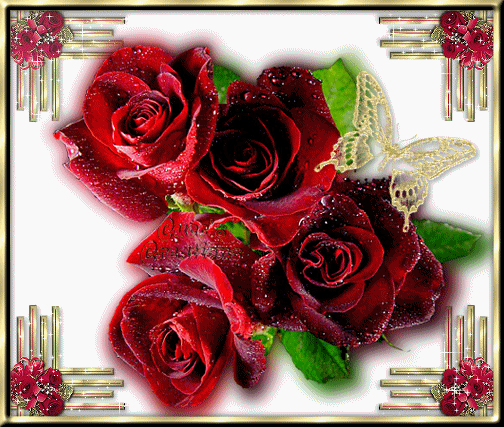 Маленькие рецензии 238