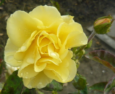 Я отточу перо своё стилет