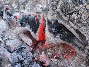 The Sky Has Fallen on the City - Nadezhda Volnova