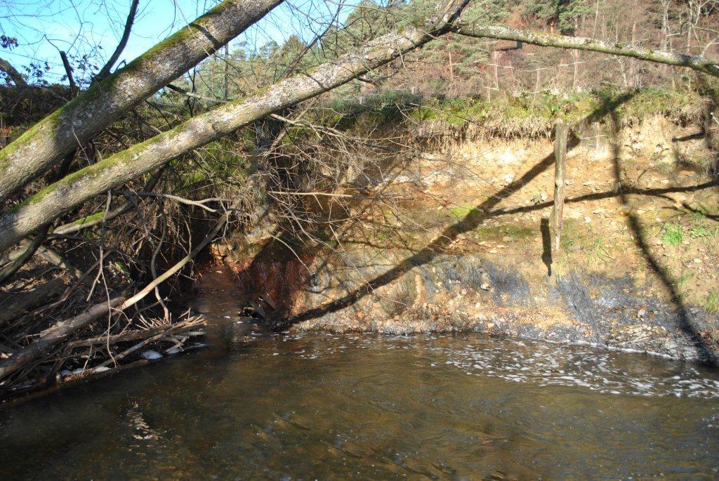 36 В тихом омуте