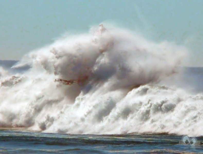 Жемчуга моря Оракул