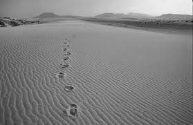 Красимир Георгиев. Стъпки. Шаги