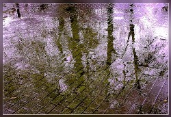 Это дождик или снег?