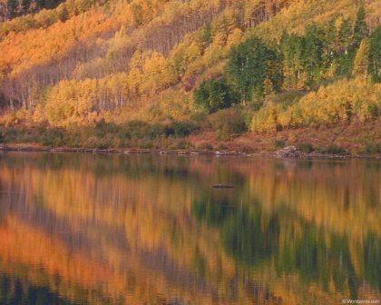 Осiннiй етюд