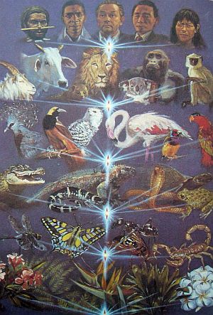 Реинкарнация или процесс эволюции Сознания