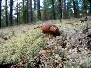 Прошло рядом...