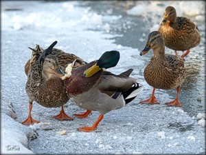 Тихо улыбнёмся