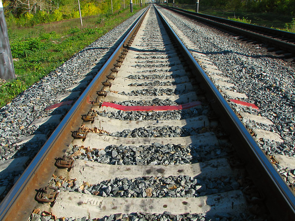 Линии жизни