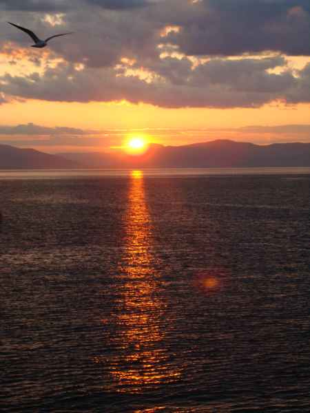 Воспоминание любимой