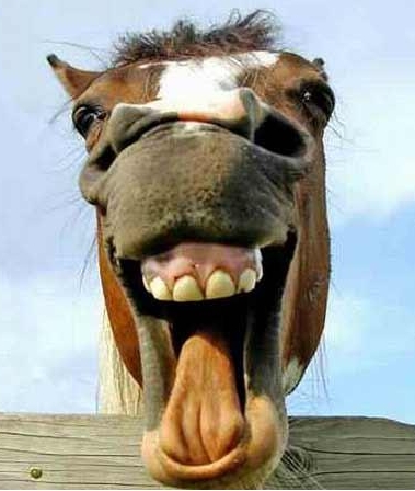 Ъ. Поймай меня, поэтку дикую!