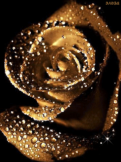 Не ту ты песню пел