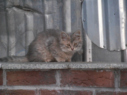 Мировоззрение