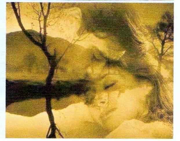 Постель влюблённым тайно выстилает