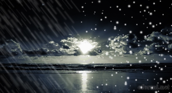 Искусы Ноября