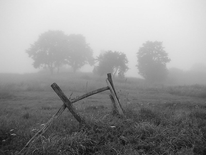Свежий воздух, тишина и три копейки...