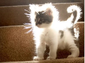 Луч солнца, пойманный ребёнком...