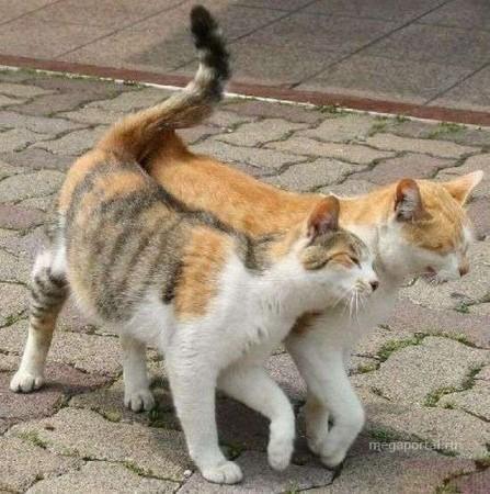 С Днём Влюблённых!!!