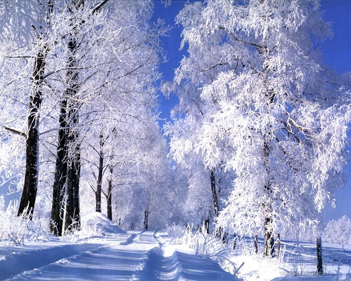 Иду, наслаждаюсь зимой