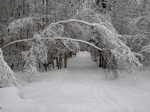 в сугробах тонут Борьки, Светки и Егорки