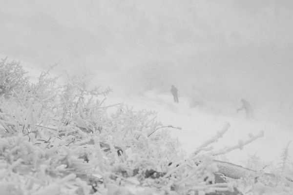 Lied aus dem Schlaf 12