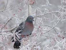 Утро раннее