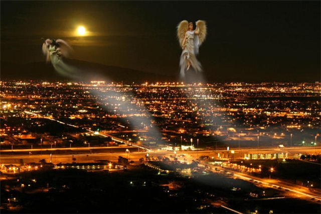 Берега мечты