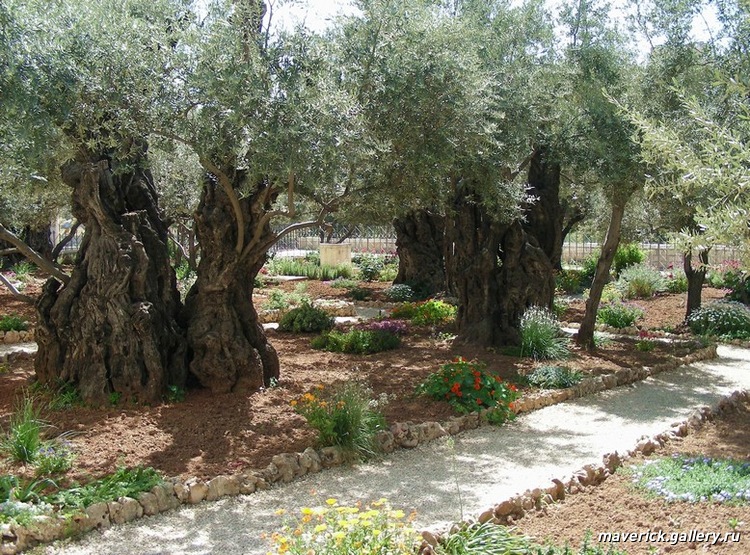 Последняя ночь