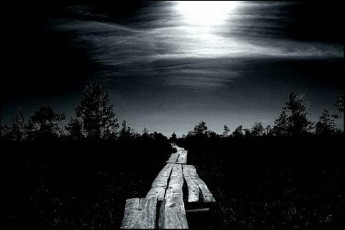 Изменчивая суть